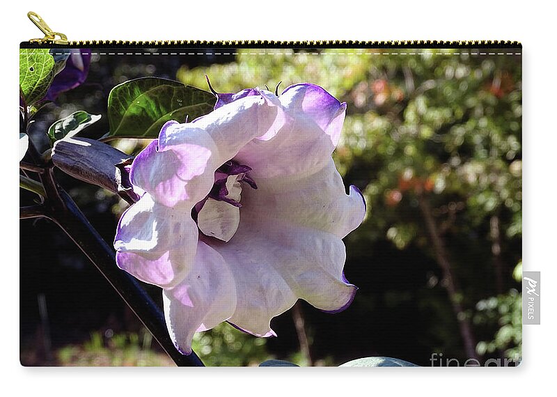 Photoshop Zip Pouch featuring the photograph Trumpet Flower by Melissa Messick