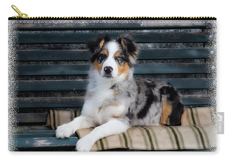 Blue Merle Zip Pouch featuring the photograph Tucsy by Micah Offman