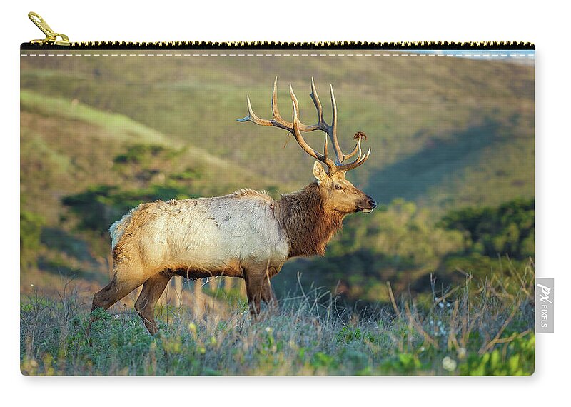 Animal Zip Pouch featuring the photograph Tule Elk 2 by Jonathan Nguyen