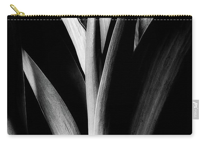 Tulips Carry-all Pouch featuring the photograph Tulip Abstract by Mike Eingle