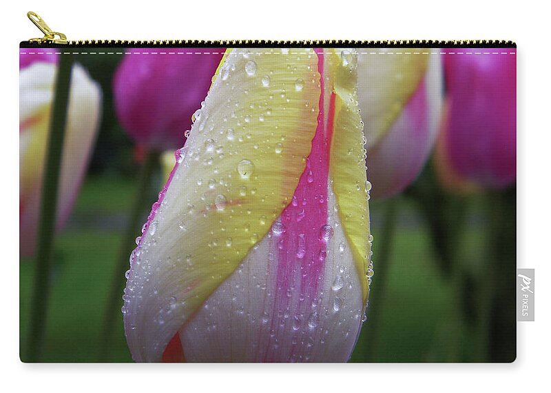 Tulip Close-up Zip Pouch featuring the photograph Tulip close-up 2 by Manuela Constantin