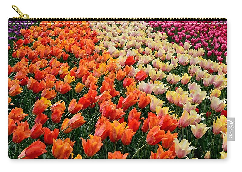 Hollander Zip Pouch featuring the photograph Tulip Field with Orange and Pink by Michelle Calkins
