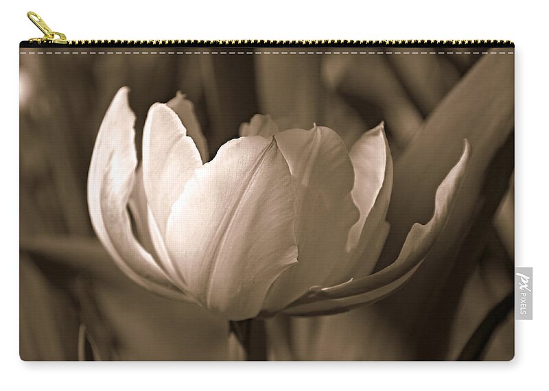 Flower Zip Pouch featuring the photograph Tulip in Sepia by KATIE Vigil