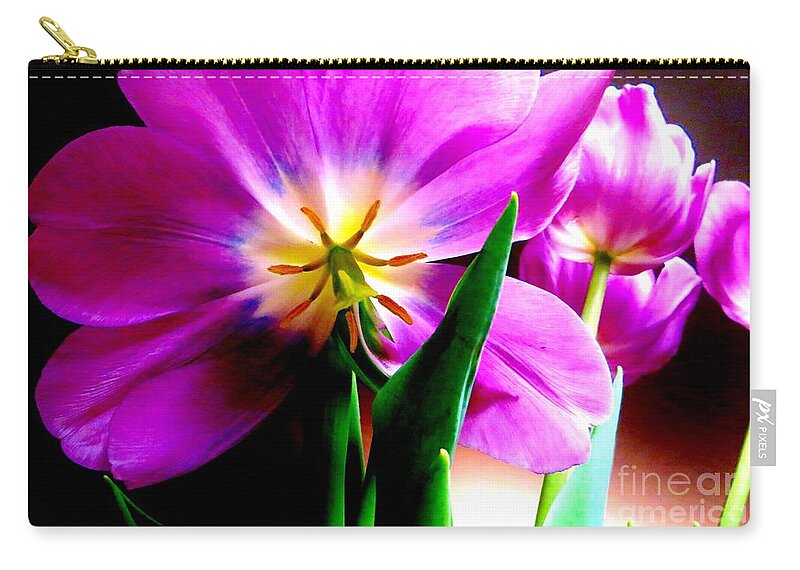 Tulip Zip Pouch featuring the photograph Tulip Time by Tim Townsend