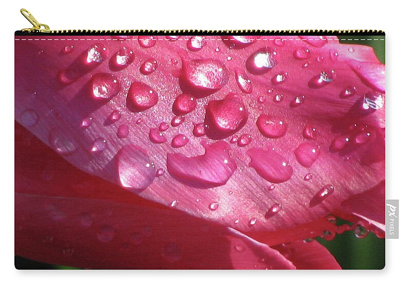 Tulip Zip Pouch featuring the photograph Tulips - Beauty In Bloom 15 by Pamela Critchlow