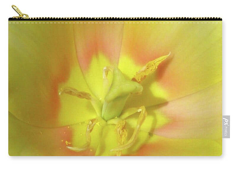 Tulip Zip Pouch featuring the photograph Tulips - Beauty In Bloom 20 by Pamela Critchlow