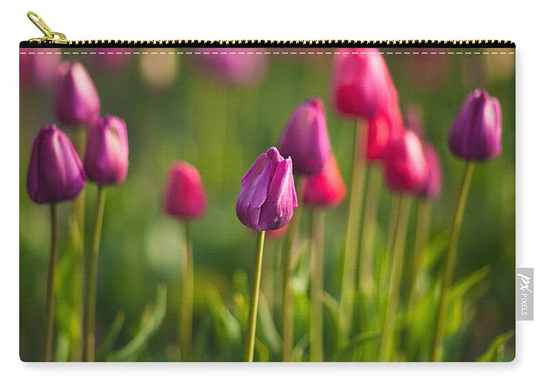 Tulip Zip Pouch featuring the photograph Tulips Dream by Mike Reid