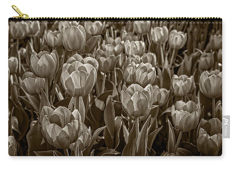 Flower Zip Pouch featuring the photograph Tulip Garden by Phil Cardamone