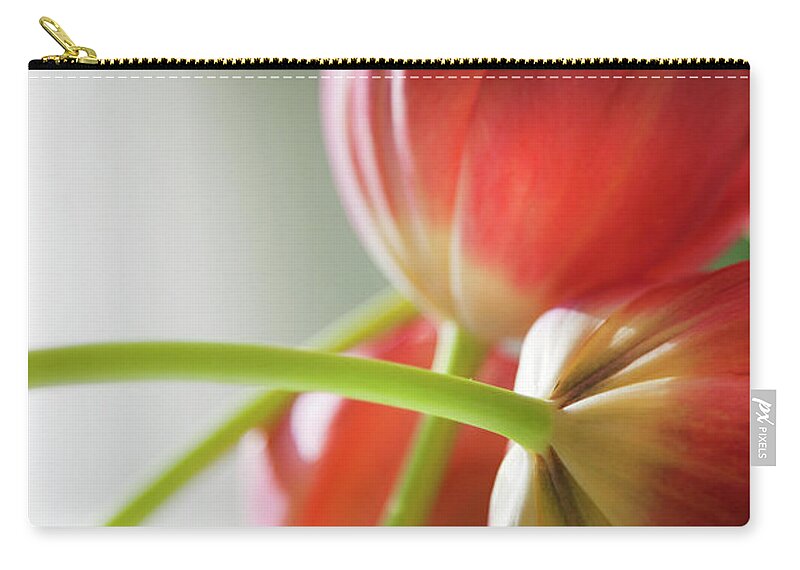 Floral Zip Pouch featuring the photograph Tulips In The Morning by Theresa Tahara