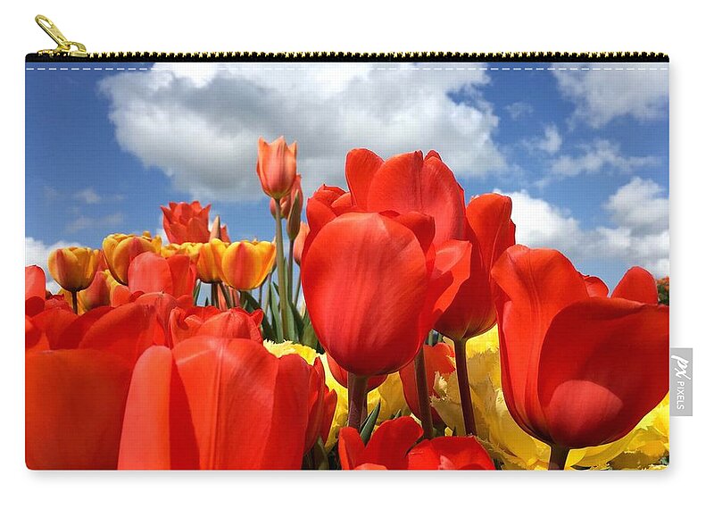 Tulip Zip Pouch featuring the photograph Tulips In The Sky by Brian Eberly