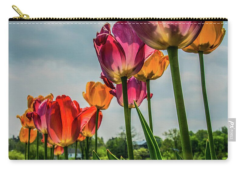 Nature Zip Pouch featuring the photograph Tulips in the Spring by Jane Axman