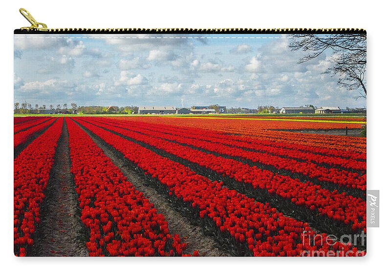 Tulip Zip Pouch featuring the photograph Tulips by Mim White