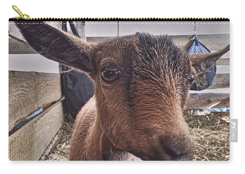 Goat Carry-all Pouch featuring the photograph Tuned In by Dani McEvoy
