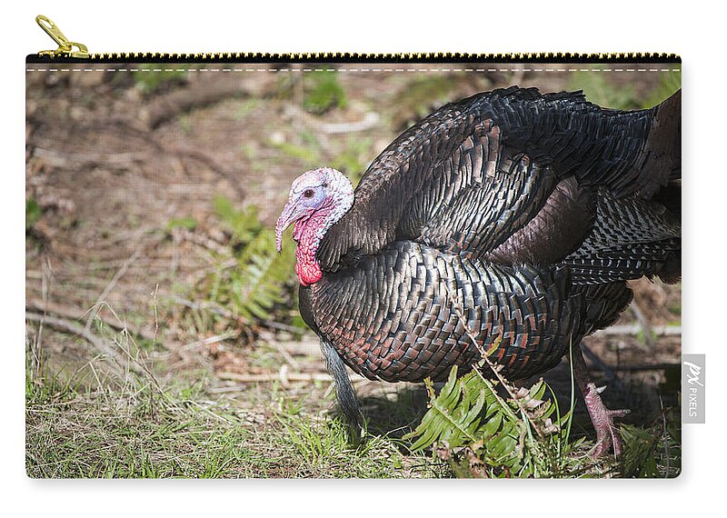 Turkey Zip Pouch featuring the photograph Turkey by Bill Cubitt