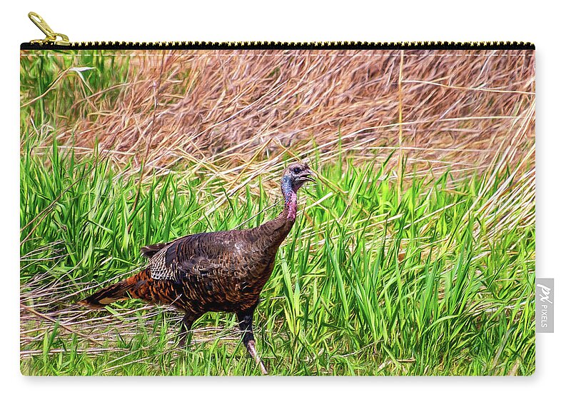 Steve Harrington Zip Pouch featuring the photograph Turkey Trot by Steve Harrington