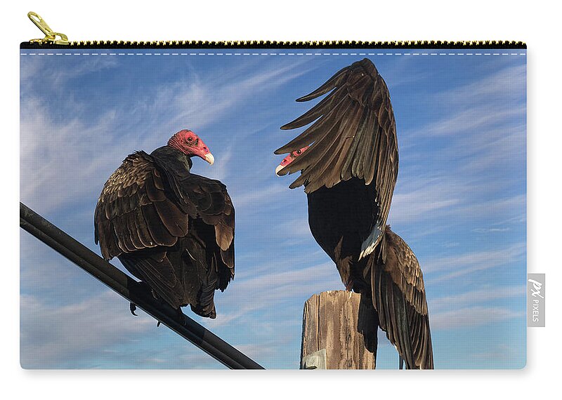 Turkey Vultures Zip Pouch featuring the photograph Turkey Vulture Peek a Boo by Kathleen Bishop