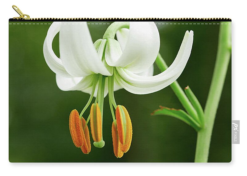 Finland Zip Pouch featuring the photograph Turk's cap lily by Jouko Lehto