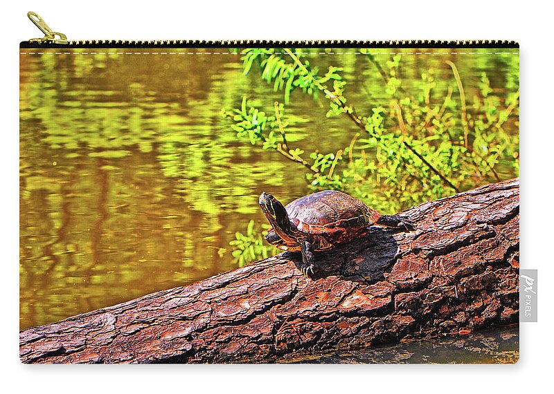 Amphibian Zip Pouch featuring the photograph Turtle 008 by George Bostian