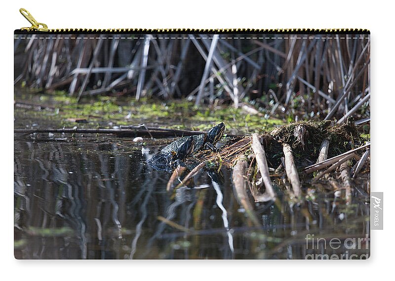 Turtle Zip Pouch featuring the photograph Turtle Dock by Dale Powell