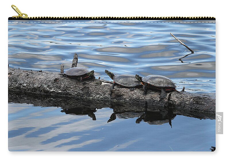 Turtles Zip Pouch featuring the photograph Turtles by Jackson Pearson