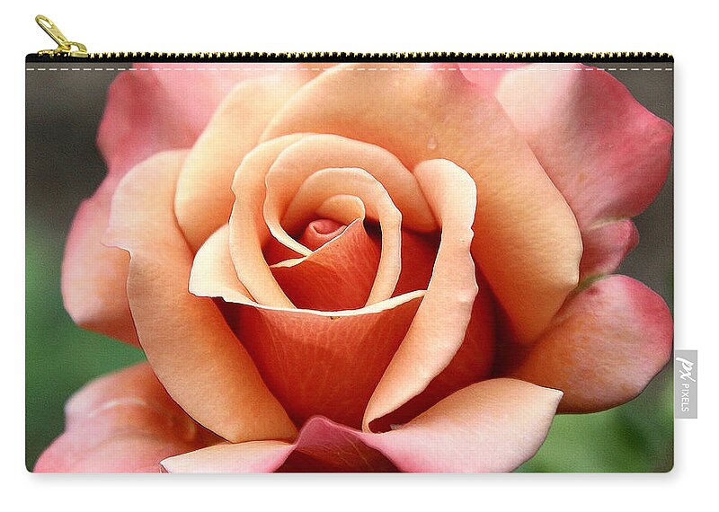 Roses Zip Pouch featuring the photograph Tuscan Sun by Gina Fitzhugh