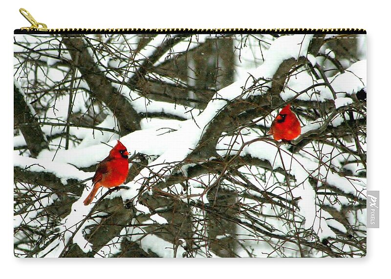 Birds Zip Pouch featuring the photograph Twice Liked by Barbara S Nickerson