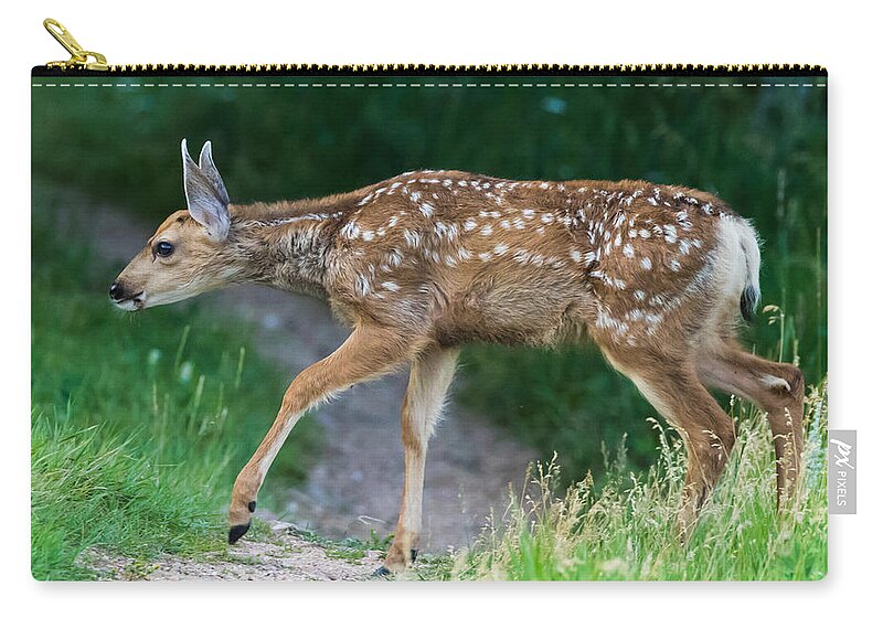 Mule Deer Fawn Zip Pouch featuring the photograph Twilight Fawn #4 by Mindy Musick King