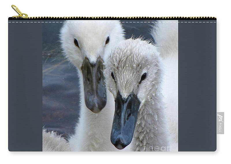 Swans Zip Pouch featuring the photograph Twin Cuteness by Lori Lafargue