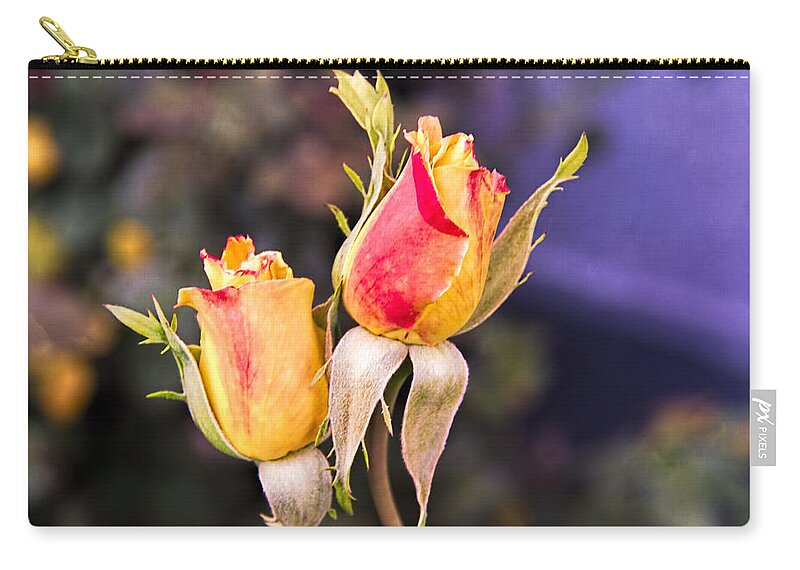 Flowers Zip Pouch featuring the photograph Twin Roses of Love by Bruce Bottomley