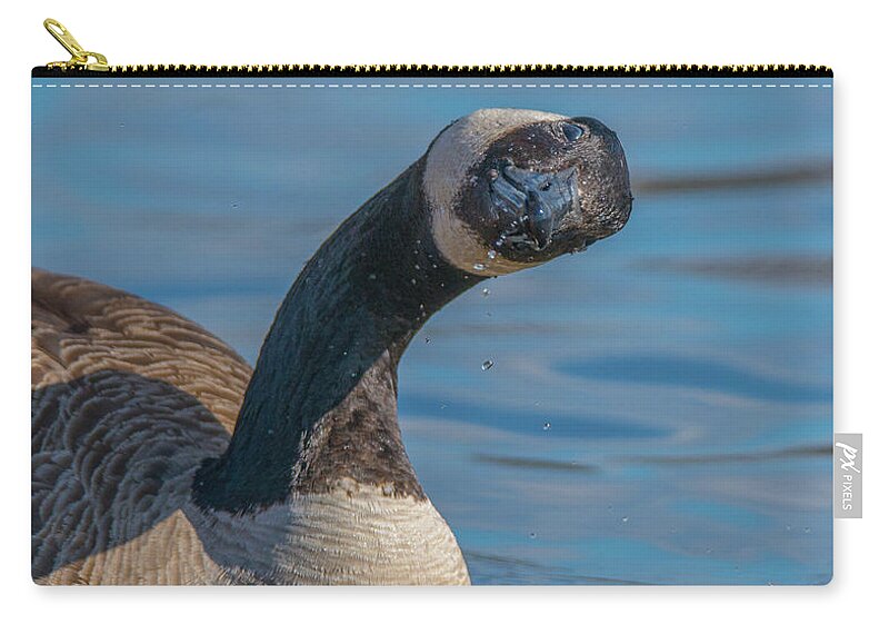 20170128 Zip Pouch featuring the photograph Twist and Shout by Jeff at JSJ Photography