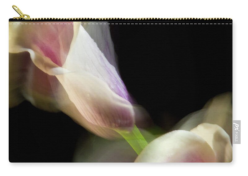 Color Zip Pouch featuring the photograph Twisting Cala Lily One by Frederic A Reinecke