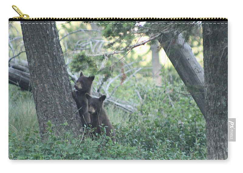 Two Zip Pouch featuring the photograph Two Bear Cubs by Mary Mikawoz