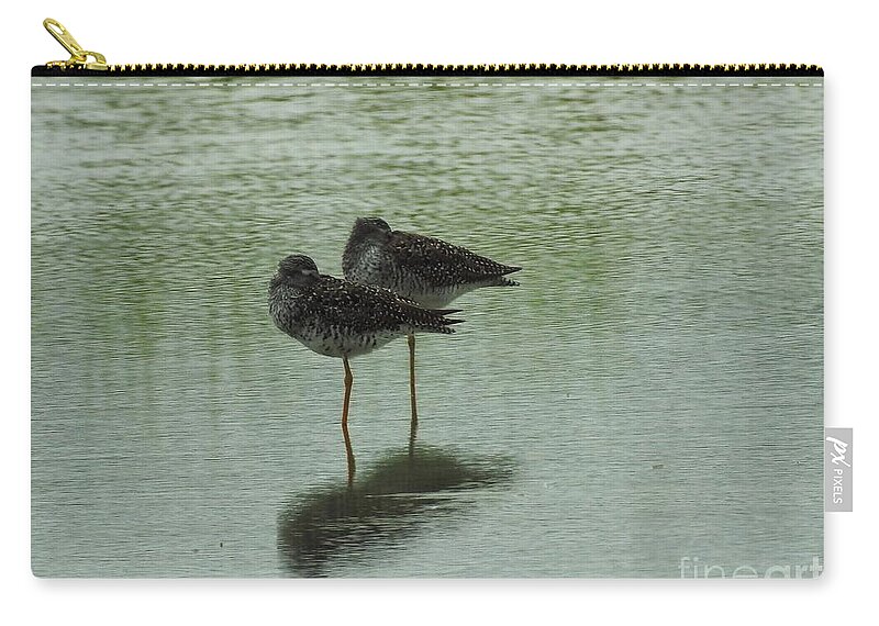 Birds Carry-all Pouch featuring the photograph Two Birds In The Marsh by Jan Gelders