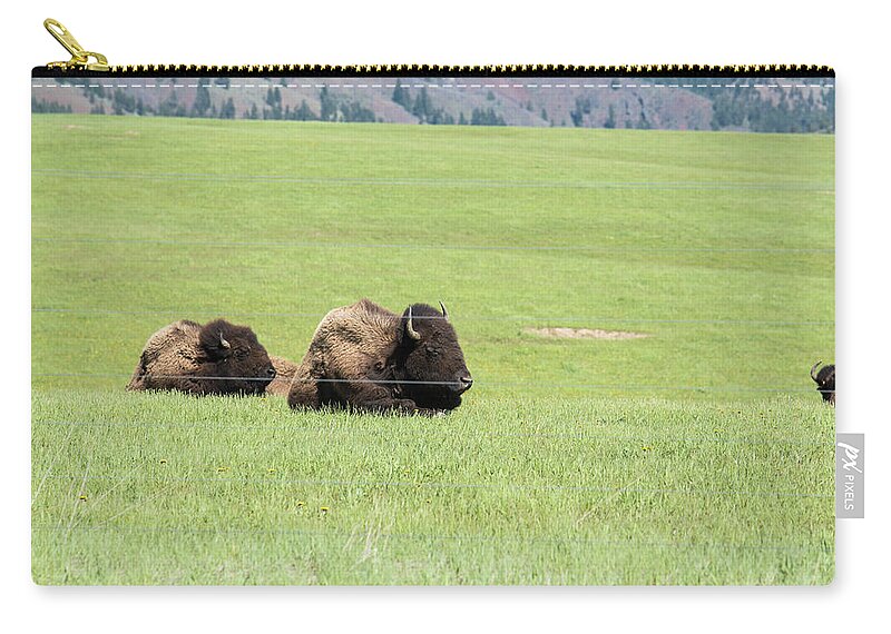 Sauk Valley Zip Pouch featuring the photograph Two Bison by Tom Cochran