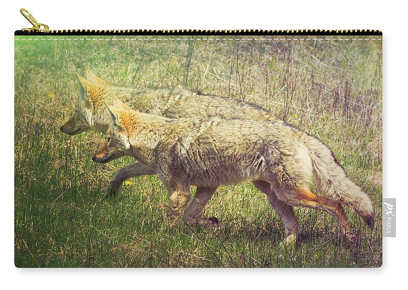 Animal Zip Pouch featuring the photograph Two Coyotes by Natalie Rotman Cote