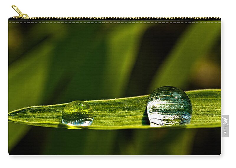 Grass Zip Pouch featuring the photograph Two Drops by Christopher Holmes