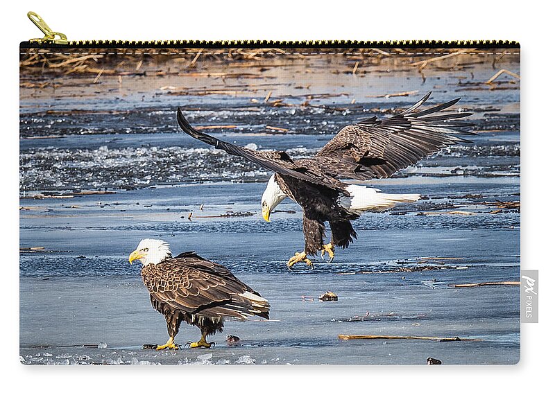 Bald Eagle Zip Pouch featuring the photograph Two Eagles by Paul Freidlund