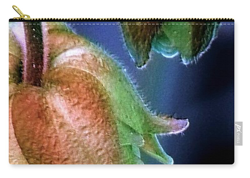Two Zip Pouch featuring the photograph Two by Elfriede Fulda