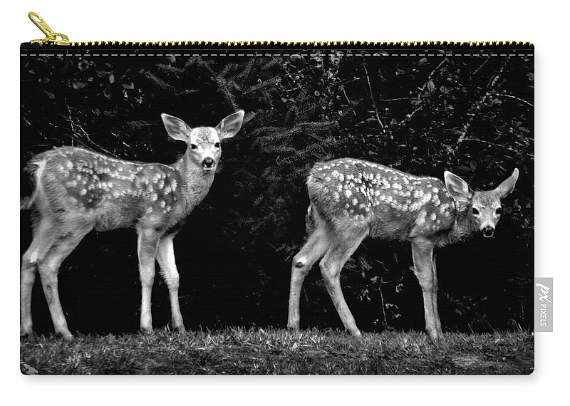 Adria Trail Zip Pouch featuring the photograph Two Fawns by Adria Trail