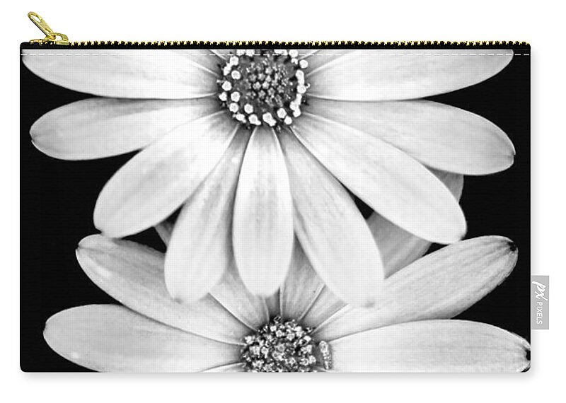 Black And White Spring Flowers Zip Pouch featuring the photograph Two Flowers by Az Jackson