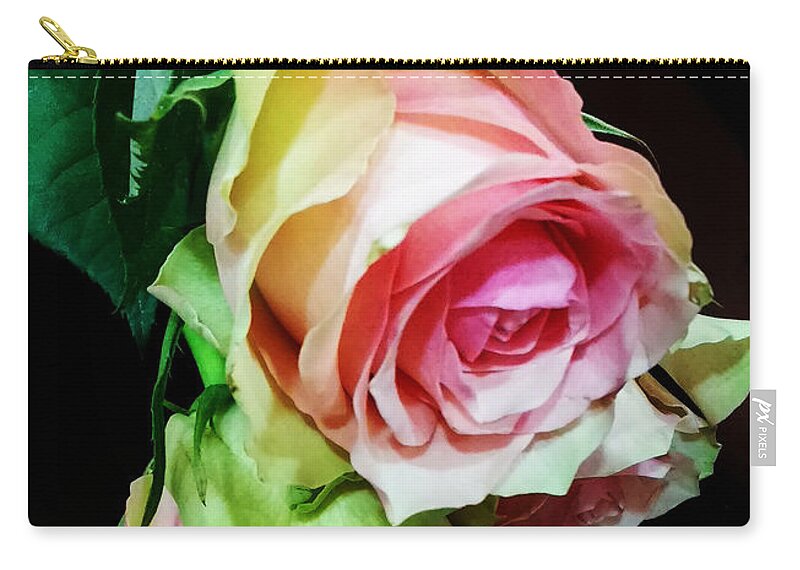 Roses Zip Pouch featuring the photograph Two for love by Jasna Dragun