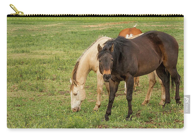 Jean Noren Zip Pouch featuring the photograph Two Grazing Horses by Jean Noren
