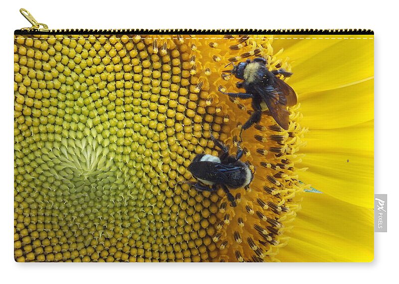 Sunflower Zip Pouch featuring the photograph Two is Company by Virginia Coyle