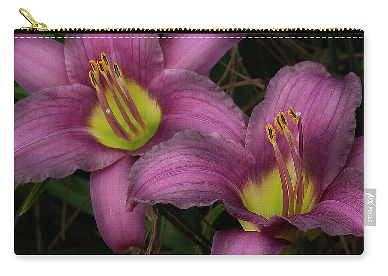 Day Lilies Zip Pouch featuring the photograph Two Of A Kind by Mike Eingle