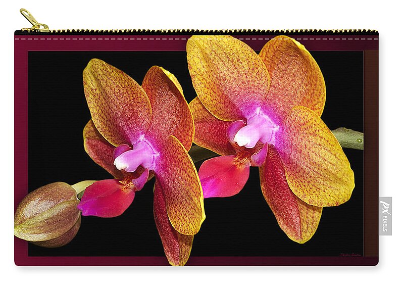 Orchids Zip Pouch featuring the photograph Two Orchids And A Bud by Phyllis Denton