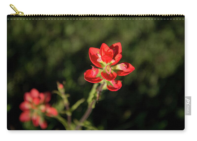 Flowers Zip Pouch featuring the photograph Two Paintbrush Blossoms by Frank Madia