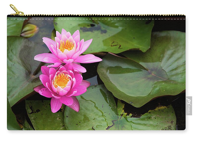 Bloom Zip Pouch featuring the photograph Two Pink Lilies by Dennis Dame