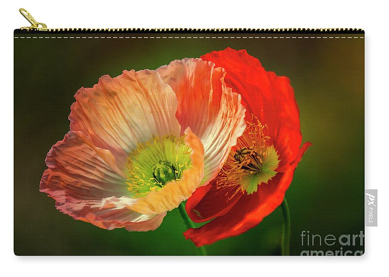 Poppy Zip Pouch featuring the photograph Two Poppies by Heiko Koehrer-Wagner