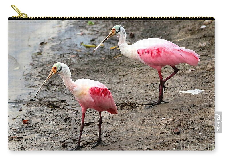 Two Birds Zip Pouch featuring the photograph Two Roseate Spoonbills by Carol Groenen