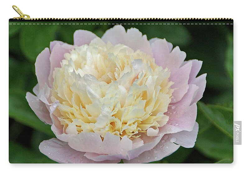 Pink Peony Zip Pouch featuring the photograph Two-toned by Sandy Keeton